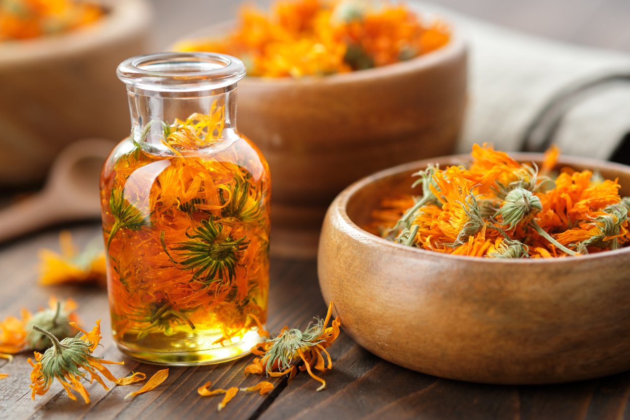 Calendula Essential Oil